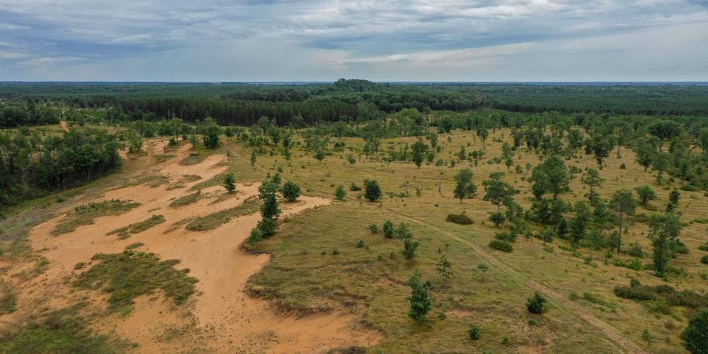 Views of Sedge Valley's Land