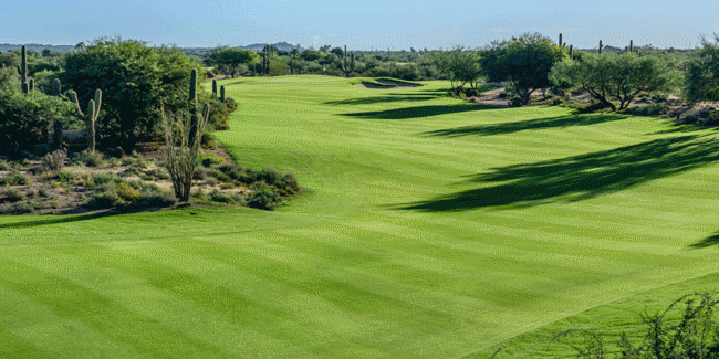 Getting To Know: Desert Forest Golf Club