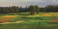 The Lure of Lawsonia is Stronger in 2014 as Tree Removal Project Revitalizes The Links Course