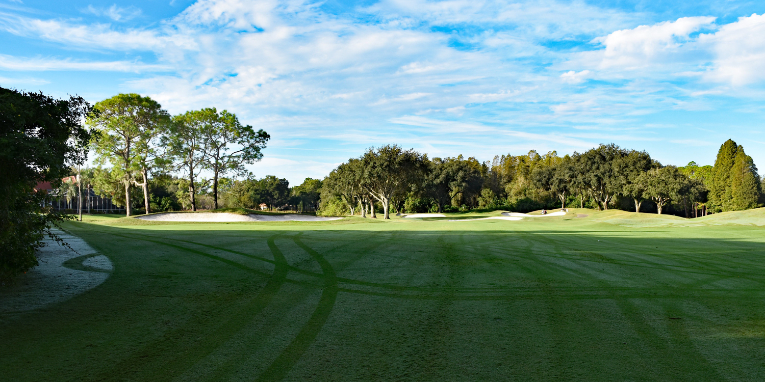 TPC Tampa Bay