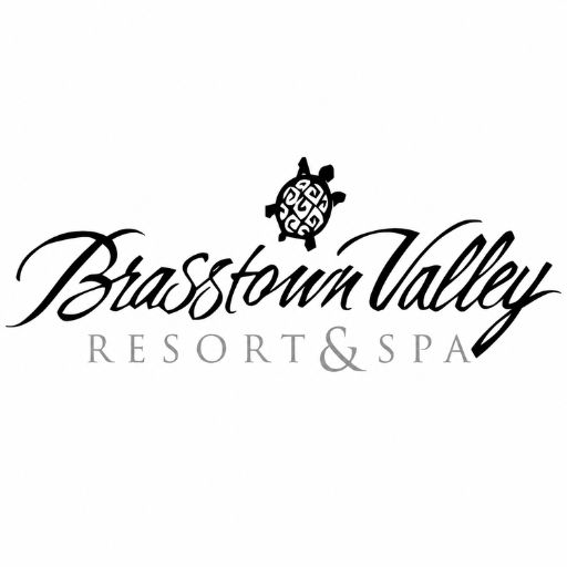 Brasstown Valley Resort logo